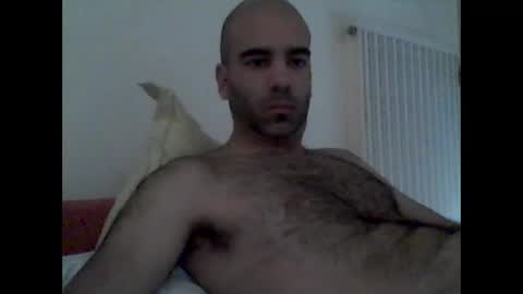 bear14250949 online show from 10-19-25, 09:10