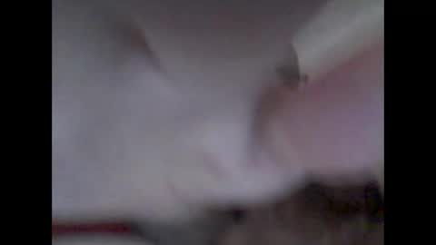 bear14250949 online show from 11-14-25, 10:25