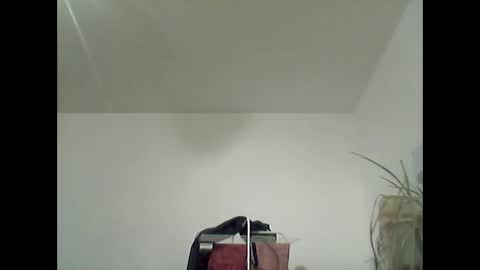 bear14250949 online show from 02-08-26, 06:55