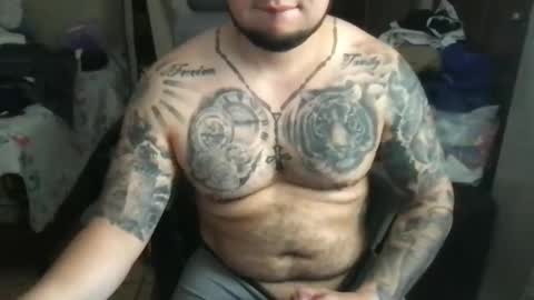 Bearcito online show from 03-05-25, 07:49