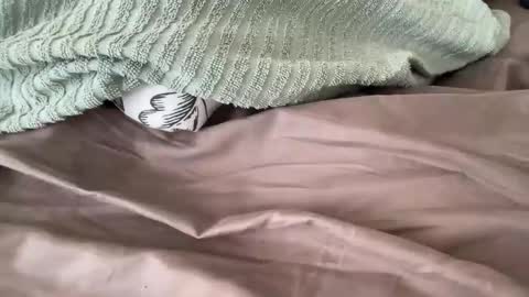 beaumec111 online show from 03-17-26, 03:48