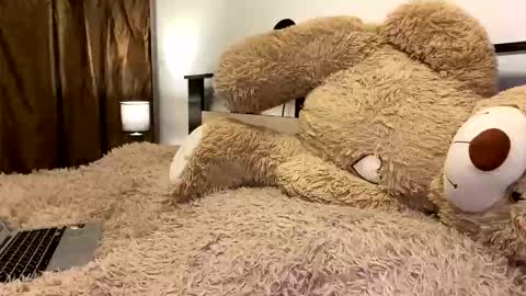 Snapshot of beautifulnik chatting on 03-07-26, 07:55 Nik online show from 03-07-26, 07:55