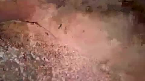 beautifulpeople23 online show from 03-29-26, 11:32