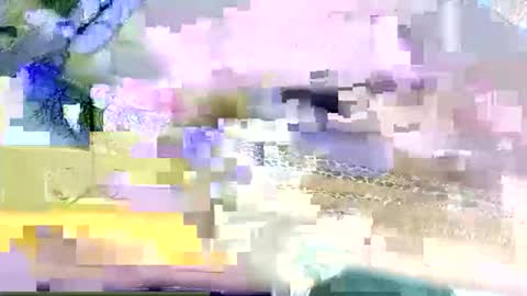 beencee2 online show from 03-09-26, 05:22