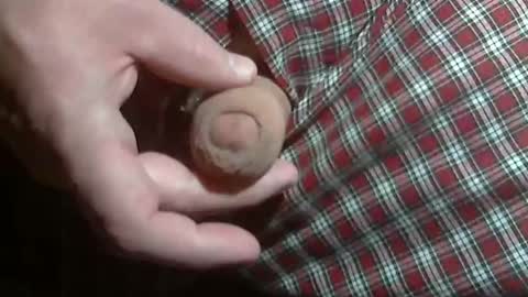  Reservoir Dogs online show from 01-12-26, 01:00