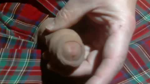  Reservoir Dogs online show from 03-02-26, 04:36