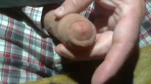  Reservoir Dogs online show from 03-21-26, 02:16