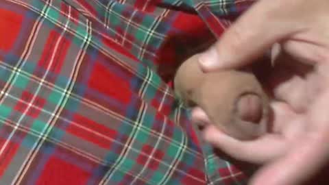  Reservoir Dogs online show from 03-30-26, 02:23