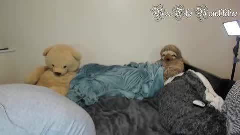 Bee online show from 02-24-26, 10:35
