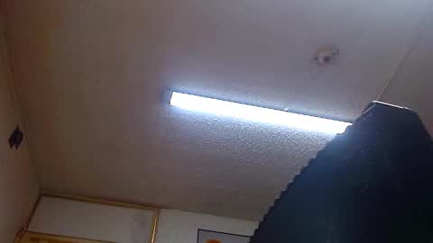 Snapshot of bella_lady_1_ chatting on 12-31-24, 01:41 lady online show from 12-31-24, 01:41