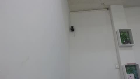 Snapshot of bella_lady_1_ chatting on 02-09-25, 06:47 lady online show from 02-09-25, 06:47