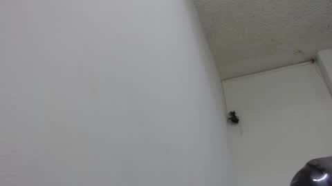 Snapshot of bella_lady_1_ chatting on 02-13-25, 08:24 lady online show from 02-13-25, 08:24