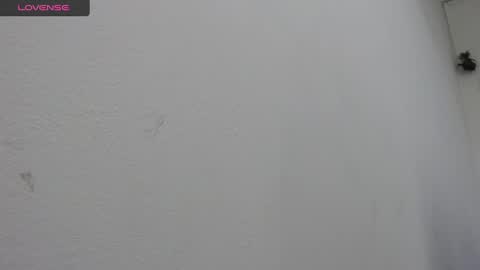 Snapshot of bella_lady_1_ chatting on 02-19-25, 08:41 lady online show from 02-19-25, 08:41