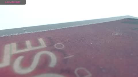 Snapshot of bella_lady_1_ chatting on 03-12-25, 11:33 lady online show from 03-12-25, 11:33