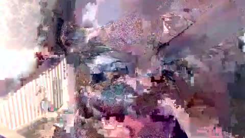      online show from 12-05-24, 08:11