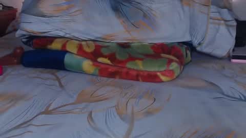 bella_xx9 online show from 02-03-25, 02:14