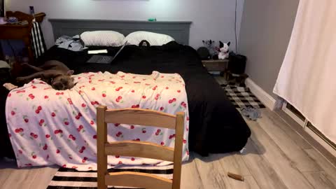 Roxy Rain online show from 03-01-25, 04:00