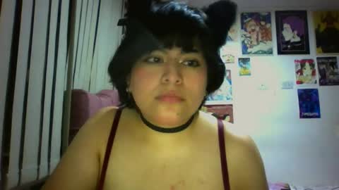 Bella online show from 03-17-26, 12:15