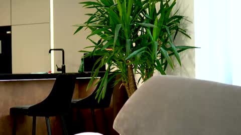 Belle online show from 03-12-25, 07:35