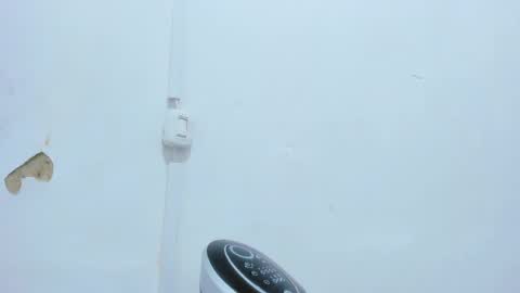 Bellota Flak online show from 12-14-24, 04:56