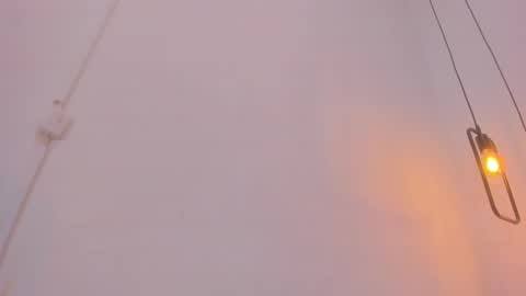 Bellota Flak online show from 12-28-24, 08:26