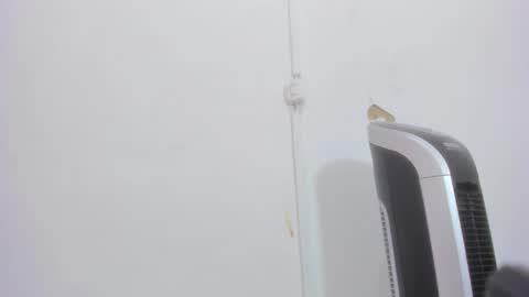 Bellota Flak online show from 12-30-24, 08:32