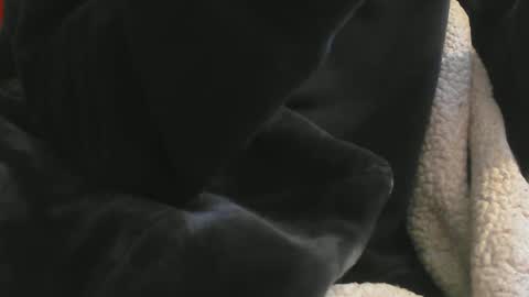 benx12123 online show from 02-16-25, 06:21