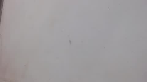 Snapshot of bergon30 chatting on 02-01-25, 01:02 Bergon77 online show from 02-01-25, 01:02