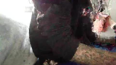 ToxicPipe757 online show from 11-04-25, 03:55