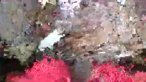 ToxicPipe757 online show from 05-20-26, 05:19