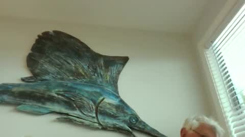 Snapshot of bestshot1951 chatting on 03-20-26, 01:49 bestshot1951 online show from 03-20-26, 01:49