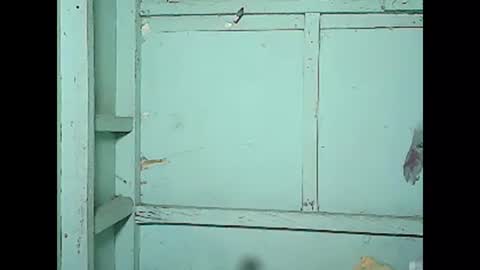 Snapshot of betty_83 chatting on 12-05-24, 04:55 betty_83 online show from 12-05-24, 04:55