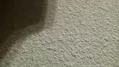 Snapshot of bgf32054 chatting on 10-10-25, 04:44 Bigfish123 online show from 10-10-25, 04:44