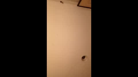 bgiamba21 online show from 05-12-26, 06:32