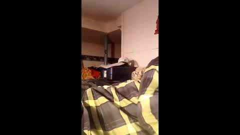 bgiamba21 online show from 05-15-26, 05:14