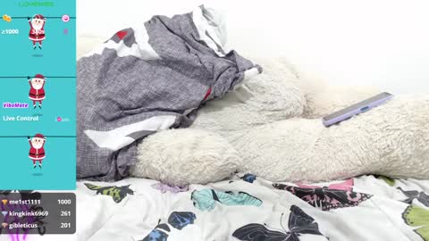 Snapshot of biancamarena2 chatting on 12-26-24, 06:41 Bianca online show from 12-26-24, 06:41