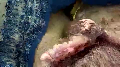 big88385909 online show from 11-20-25, 12:44