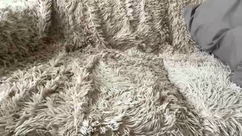 Snapshot of big9inchdick83 chatting on 04-07-26, 12:27 Big dick G online show from 04-07-26, 12:27