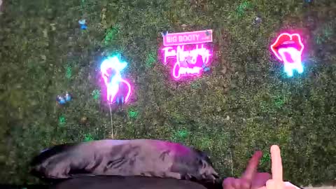 bigbuttsarena online show from 05-02-26, 12:26