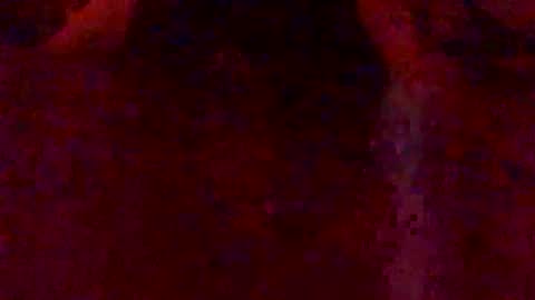 Hunny online show from 02-07-26, 03:10