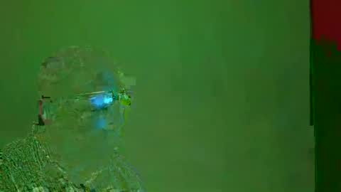 TheSexDistrict online show from 12-22-24, 05:12