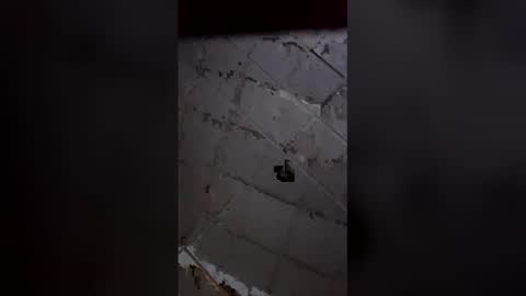 bigcummerbigcock online show from 02-28-26, 04:57