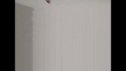 Snapshot of bigd23994 chatting on 03-29-26, 07:52 bigd23994 online show from 03-29-26, 07:52