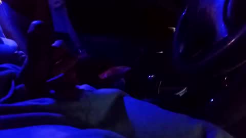 Snapshot of bigdiccbrannn chatting on 02-09-25, 12:52 bigdiccbrannn online show from 02-09-25, 12:52