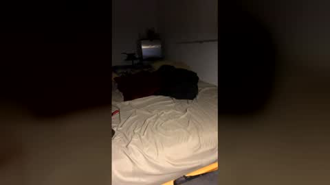 bigdickpapishampoo online show from 12-19-25, 10:00