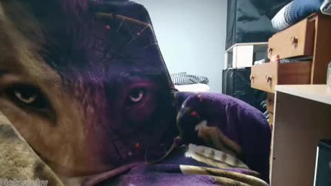 Snapshot of bigdickyduby chatting on 11-12-25, 02:01 George Forest Dickyduby on all Socials online show from 11-12-25, 02:01