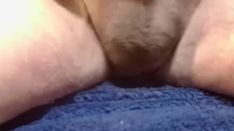 BigDog online show from 02-10-25, 02:26