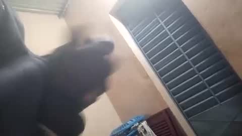 Snapshot of bigduckers chatting on 01-19-26, 01:42 black man online show from 01-19-26, 01:42