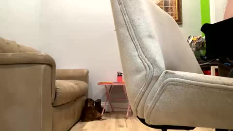 Snapshot of bigeddie88 chatting on 09-23-25, 11:52 bigeddie88 online show from 09-23-25, 11:52