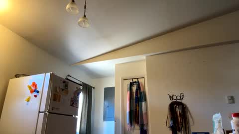 Snapshot of bigheadaddy90 chatting on 02-27-25, 07:04 Daniel Noelia online show from 02-27-25, 07:04
